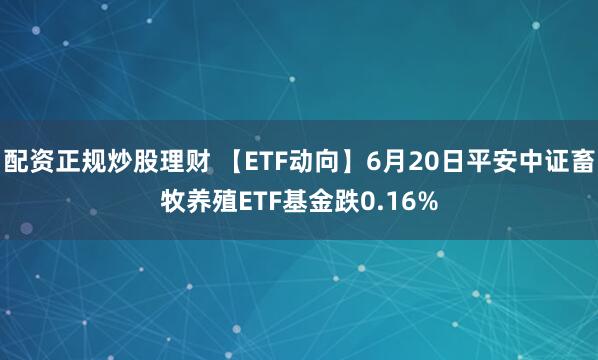 配资正规炒股理财 【ETF动向】6月20日平安中证畜牧养殖ETF基金跌0.16%