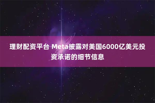 理财配资平台 Meta披露对美国6000亿美元投资承诺的细节信息
